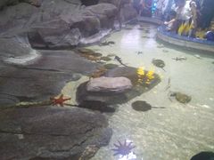 -福州罗源湾海洋世界旅游区