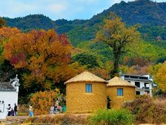 -塔川景区