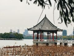 -济南大明湖景区