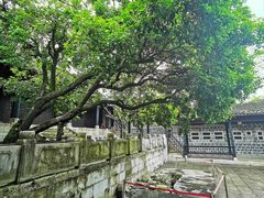 -阳明祠