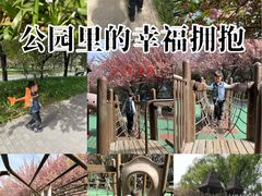 -唐城墙遗址公园