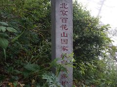 -白草畔自然风景区