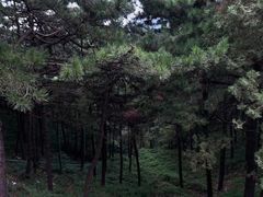 -泰山风景名胜区