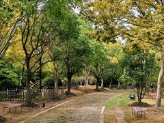 -上海海湾国家森林公园