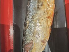 -食其家·牛丼咖喱(天津梅江印象城店)