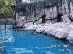 -上海野生动物园
