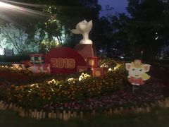 -金鸡山公园