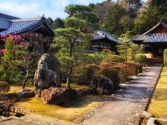 -名古屋城