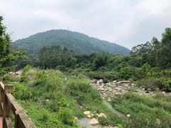 -四会奇石河风景区