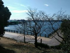 -台场海滨公园船码头