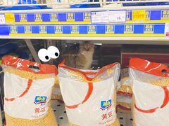 -麦德龙(京顺路商场店)
