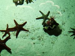 -福州罗源湾海洋世界旅游区