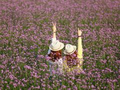 -喜莲娜动物奶油生日蛋糕(箭盘店)