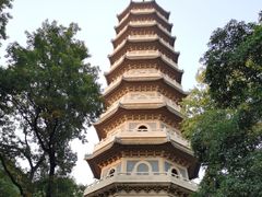 -灵谷景区