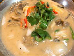 青咖喱牛腩配饭-热浪岛马来餐厅