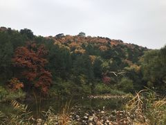 -香山公园-东宫门售票处