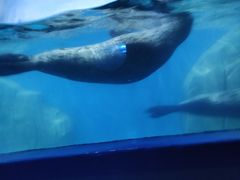 -多彩贵州城极地海洋世界