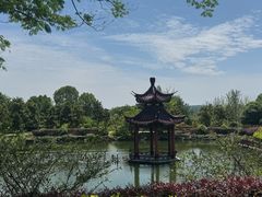 -冶父山国家森林公园