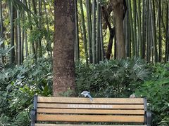 -苏州河梦清园环保主题公园