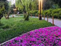 -月坛公园