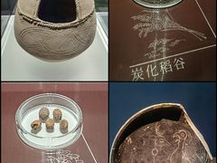 -上海博物馆