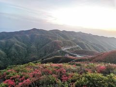 -大围山国家森林公园