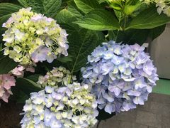 -哈根达斯(济南万象城店)