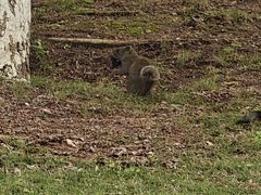 -厦门国家会计学院