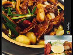乡亲鹅肉城(吴江店)-乡亲鹅肉城(吴江店)