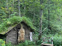 -峡谷浮石林景区