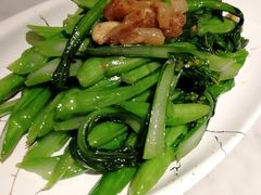 -大鸽饭(体育西路店)