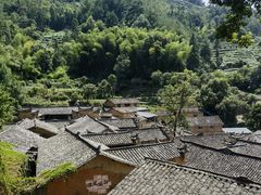 -杨家堂村