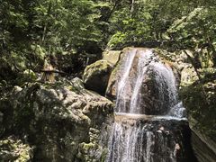 -牛背梁国家森林公园