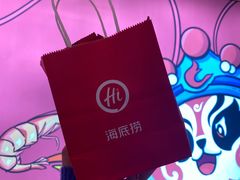 -海底捞大排档火锅(悦荟广场店)