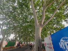 -李公堤