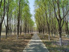 -东郊湿地公园