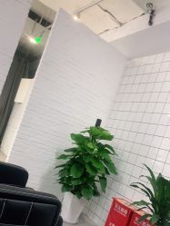 -P.STYLE派斯造型