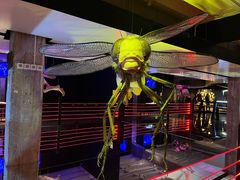 -现代汽车文化中心 Hyundai Motorstudio Beijing