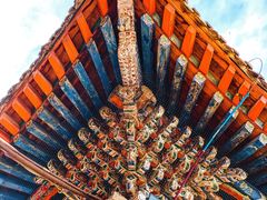 -塔尔寺菩提树