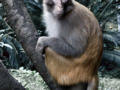 -黔灵山公园-南门售票处