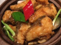 -大鸽饭(体育西路店)