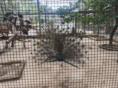 -柳州市动物园