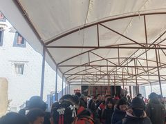 -布达拉宫