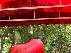-将军关探险漂流