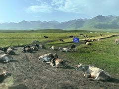 -新疆那拉提国家旅游度假区