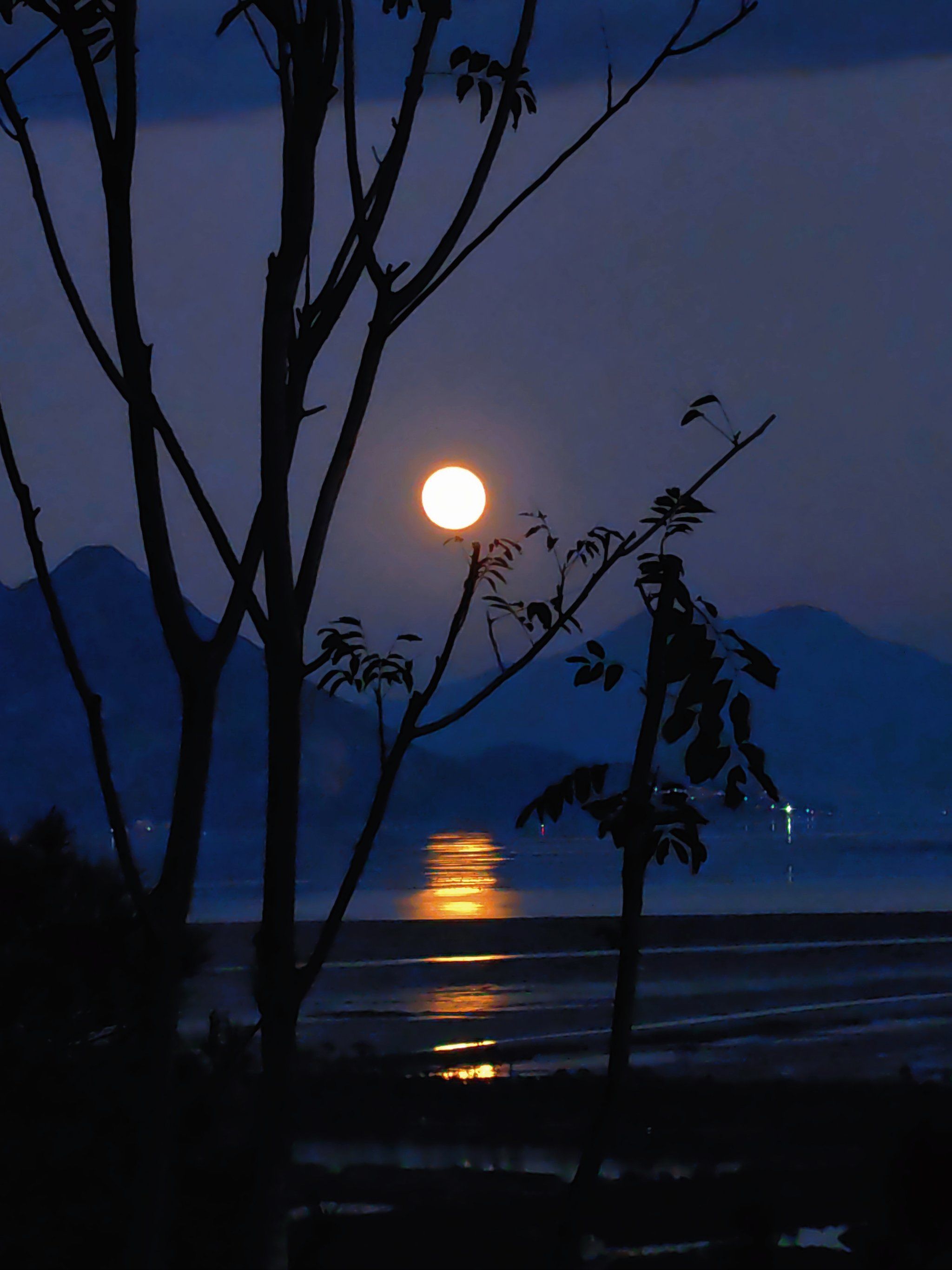 月亮升起的时候✨