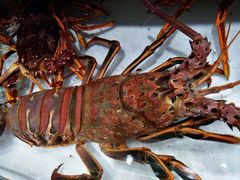 -万龙洲海鲜(大兴绿地缤纷城店)