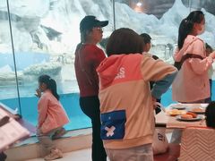 -帝企鹅自助餐厅•儿童岛•真企鹅(长隆企鹅酒店)
