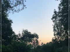 -火炉山森林公园