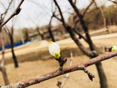 -长春公园(普阳街道)